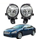 日産 マキシマ 2009 2010 2011 2012 2013 2014 2015 H11 4000LM LED ライト 右 + 左 DRL 12V 2ピース AL-BB-1765 AL Car light