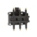 COjbVRC NCX[ {CW[ _bW Lo W[v O[ II III VW ROUTAN ݊i:UF121 53006565C88921319 AL-DD-3069 AL ignition coil