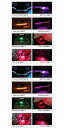 適用: メルセデス V クラス VITO V250 V260 ビアノ VALENTE メトリス W447 ライト AC コンディション 通気口 ベント 3カラー アップグレード 64 AL-NN-6028 AL Car light(2)