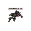 4000lm フォグライト LED デビル アイ DRL H11 12V スタイリング 適用: トヨタ RAV4 ハイランダー カローラ カムリ ヴェンザ タンドラ タコマ ヤリス ヴィッツ フォグライト ワイヤー AL-OO-0936 AL Car light