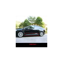 適用: テスラ/TESLA モデル X 2016-2019 ボディ モールディング ドア トリム ストリップ 保護 装飾 タイプ1 AL-PP-5040 AL ...