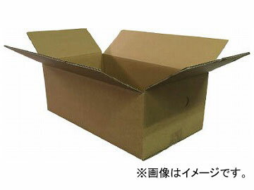 IRIS _{[ 460~250~170 M-DB-100B(7633963) F10 Cardboard