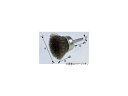 柳瀬/YANASE 軸付カップブラシ ステンレス 75×20×6×35 BSCJ-75 入数:5個 Cup brush stainless steel with axis(4)