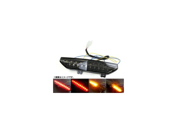 LEDテールランプ スズキ ZZR1400 GTR ZX-6R 2007年～2008年 AP-BP-124 2輪 tail lamp