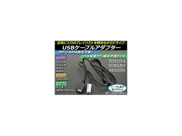 AP USBケーブルアダプター 約103cm 12V USBポート 汎用 AP-EC014 cable adapter