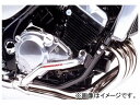 ゴールドメダル スラッシュガード バフ仕上げ サブフレーム無し SGK02-1 カワサキ バリオス/バリオスII ZR250A/ZR250B 2輪 Slash guard