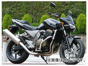ゴールドメダル スラッシュガード バフ仕上げ サブフレーム付き SGK10B-1 カワサキ Z750S BC-ZR750J 2004年～2006年 2輪 Slash guard