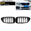 եȥ륫С BMW 5꡼ G30/G31 2017ǯ2020ǯ ֥å A ABS ֥С AP-FG335-A 1å(2) Front grill cover