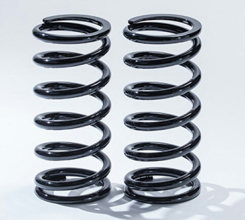 ԡ/Spiegel ľץ 62/ͳĹ120mm Хͥ졼ȡ20K 1å(2) SKP-SPT6212020-1 Direct winding spring