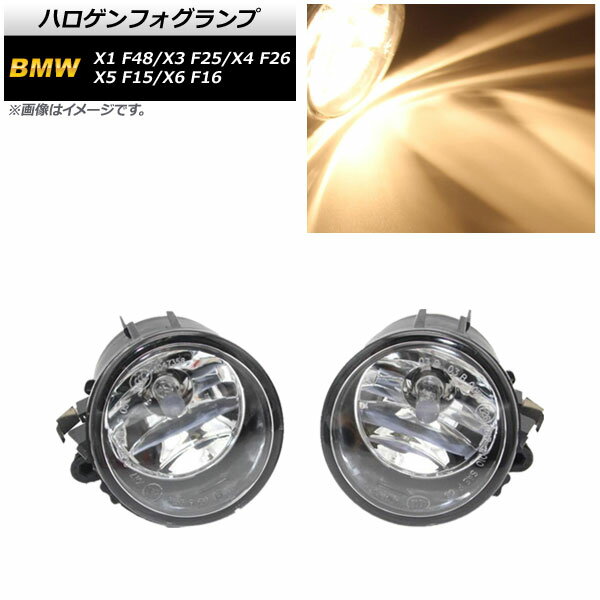 ハロゲンフォグランプ BMW X3 F25 2011年～2017年 H8/H11 入数：1セット(左右) Halogen fog lamp