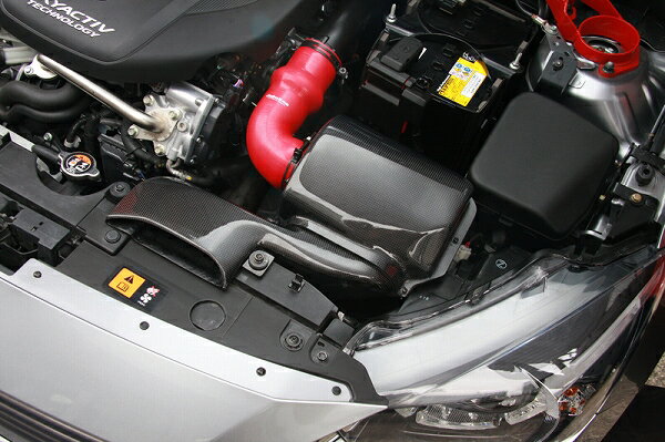 オートエクゼ/AutoExe ラムエアインテークシステム SEA1V5900 マツダ RX-8 SE3P