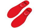 BMZ カルパワースキーカーボン3 インソール レッド 選べる5サイズ insole 1