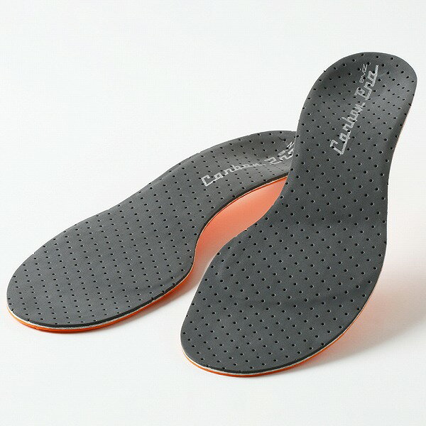 BMZ ܥץΡ70 C-6 󥽡 졼 ٤5 insole