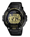 JVI/CASIO CASIO Collection STANDARD rv yKiz W-S220-9AJH watch