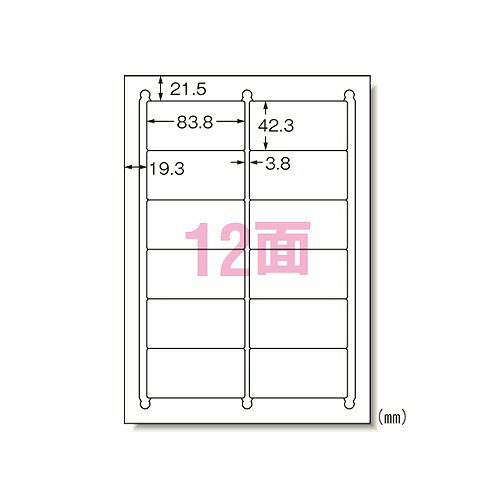 エーワン(A-one) ラベルシール プリンタ兼用 A4 12面 キレイにはがせるタイプ 再剥離 入数:1パック(100入) 31175(17441) Label sticker used printer