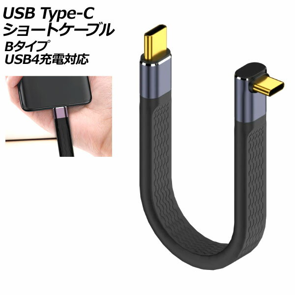USB Type-Cショートケーブル Bタイプ 240W オス-オス USB4充電対応 AP-UJ1047-B short cable