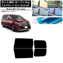 カーフィルム 日産 エルグランド E52 2010年08月〜 リアドアセット カメレオン 選べる3フィルムカラー AP-WFCM0115-RD Car film