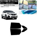 カーフィルム プジョー 3008 P8 2017年〜 リアドアセット カメレオン 選べる3フィルムカラー AP-WFCM0351-RD Car film