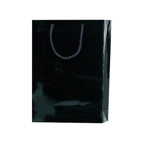 シモジマ(Shimojima) ブライトバック SWT 黒 006138200(45102) Brightback