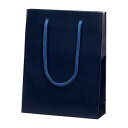 シモジマ(Shimojima) ブライトバッグ MM 紫紺 006138315(62382) Bright bag