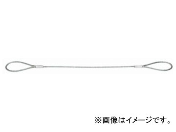 å/OH ե磻䡼 6mm1m ODW6-10 Wire with stand