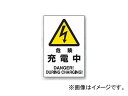 jbg/UNIT 댯W 댯 [d iԁF804-30A Danger sign dangerous charging