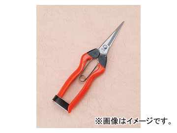 小林製鋏 越路 ステンレス摘果鋏 K-9 入数：12丁 Stainless steel scissors