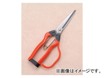 小林製鋏 越路 ステンレス収穫鋏 J-3G Stainless steel harvest scissors