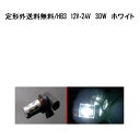 送料無料 定形外発送&複数OK HB3 LED バルブ CREE社製 12V-24V ホワイト 30W 白