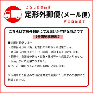 送料無料 定形外三菱 シャリオグランディス クリスタルサイドマーカー 左右セット 台湾製