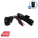 三菱 専用 USB充電 HDMI入力 スイッチパネル 36mm×20mm USB HDMI 出力 中継 映像入力 電源 ケーブル ポート 増設 定形外送料無料