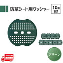 防草シート ワッシャー 防草シート押さえ ピン用ワッシャー 固定用押さえ スペーサー 人工芝 3穴 緑 グリーン マルチシート 皿 PE 67mm 10枚