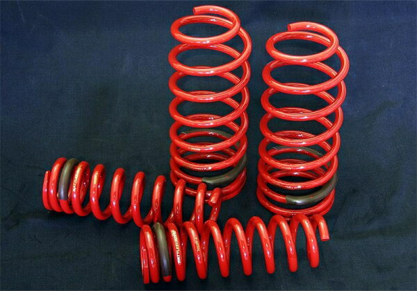 ジャオスジャオス JAOS BATTLEZ×SUS typeDTi 30 サーフ 215系 BATTLEZ COIL SET 30DTi ガソリン車 OLINE 年式02.10-09.07 適応ガソリン(X-REAS車 除)