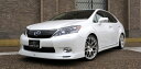 エルエックスモードLEXUS HS250h 10系 前期 LXスマートLED12点セット(前期用) ANF10