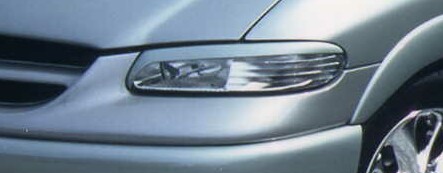 ダックスガーデンダックスガーデン クライスラー グランド ボイジャー アイライン