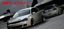 当社塗装品 イーエスビーVW GOLF V CLS Standard 3piece kit