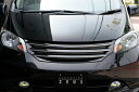 エクスクルージブ ゼウスフリード GRACE LINE フロントグリル NH624P塗装済 FREED (GB3.4) 前期 2008/5 - 2011/9(2)