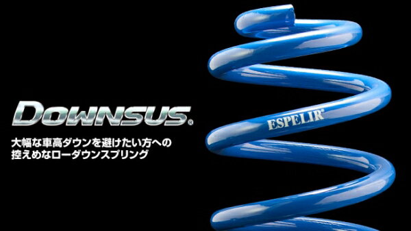 スプリング【エスペリア】ダウンサス レガシィワゴン BR9 EJ25 H21/5- 4WD ターボ/2.5GT S 1台分セット