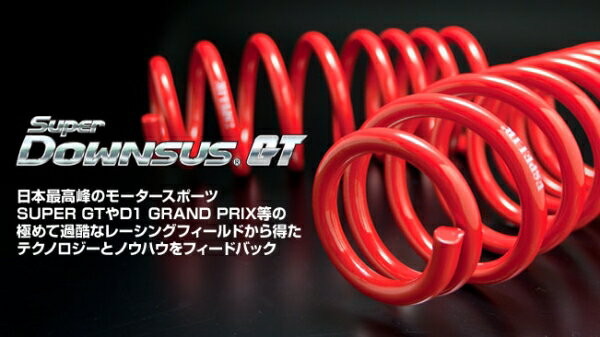 エスペリアスーパーダウンサス 180SX GT RS13/RPS13 CA18DET/SR20DET H1/4-10/12 赤色 フロントのみ