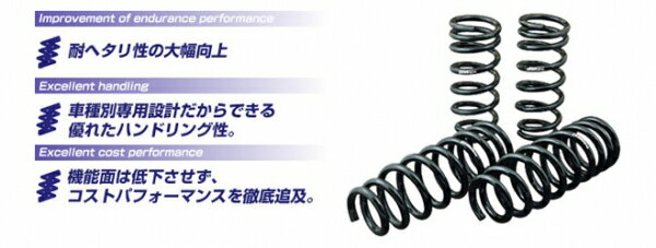 ゴジゲン5ZIGEN SUPER LOWEEING スーパーローイング 【ダウンサス】 アイシス 【ANM10W】 1AZ-FSE [H16/9〜21/9] 2.0L