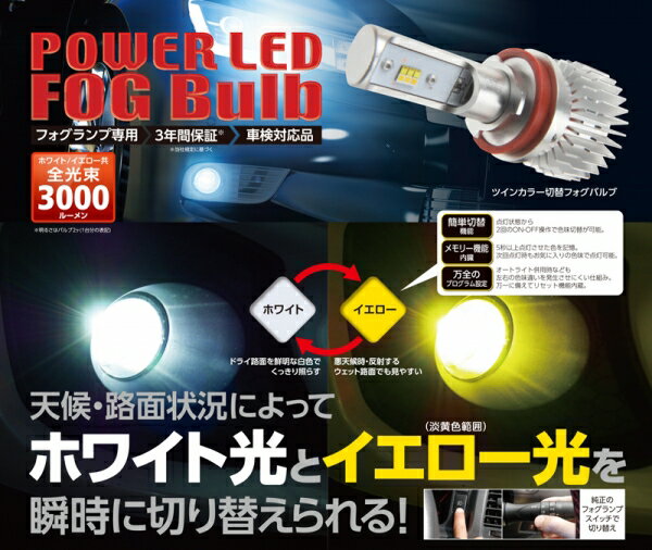 レーシングギアRG POWER LEDフォグバルブ ツインカラー H8/H11/H16