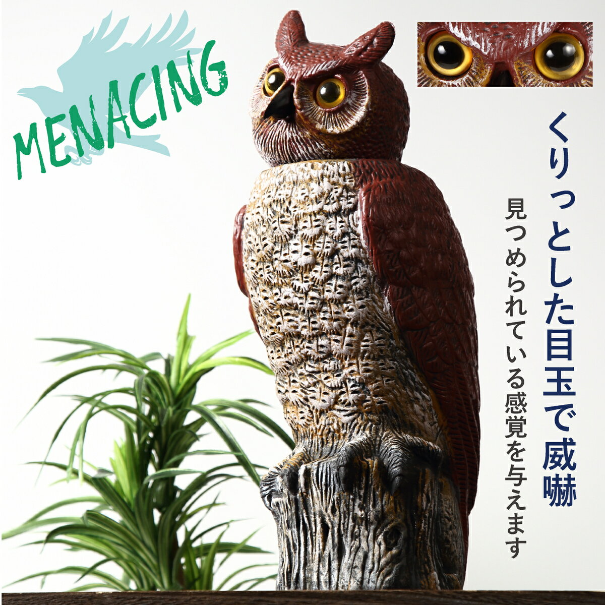 本物そっくりのふくろう 鳥よけ 首振りフクロウ カラスよけ ベランダ 価格 鳩よけ グッズ 対策 ハトよけ カラス 鳩よけグッズ カラス除け 本物そっくりのふくろう 鳥よけ 首振りフクロウ カラスよけ ベランダ 価格 鳩よけ グッズ 対策 ハトよけ カラス 鳩よけグッズ カラス除け