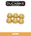 ドゥカティパニガーレ V4 スペチアーレ (全ての年式とモデル) DUCATI PANIGALE V4 SPECIALE用 ドゥカバイク DUCABIKE スプ...