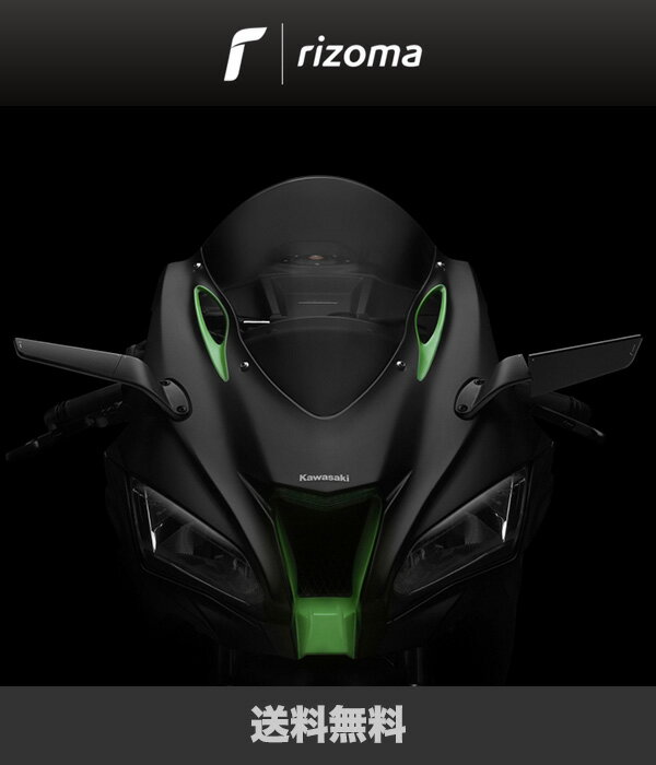 Kawasaki カワサキ ZX-10R SE用リゾマ ”STEALTH” ステルスミラー、アルミニウム左右ペア (送料無料)