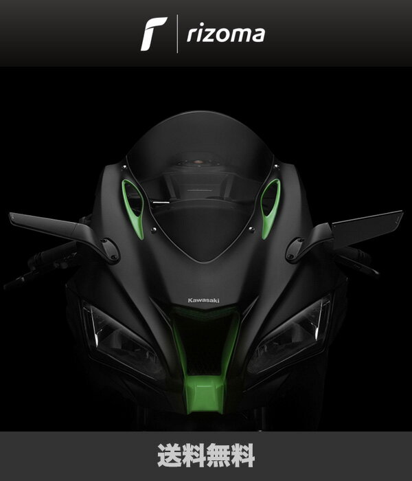 Kawasaki カワサキ ZX-10R SE用リゾマ ”STEALTH” ステルスミラー、ダークグレイ左右ペア (送料無料)