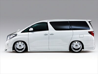 アルファード 20系 前期 DEPORTE サイドステップ 塗装取付込(2)