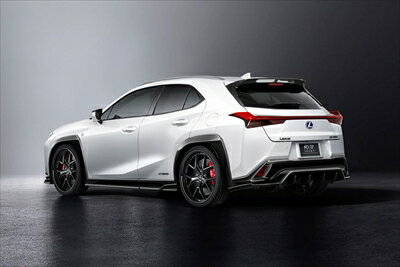 LEXUS UX250h F-SPORT ルーフスポイラー 塗装取付込