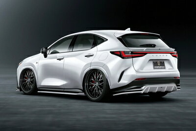 レクサス NX450h/350h/350 F-SPORT AIMGAIN SPORT リアゲートスポイラー FRP 塗装済