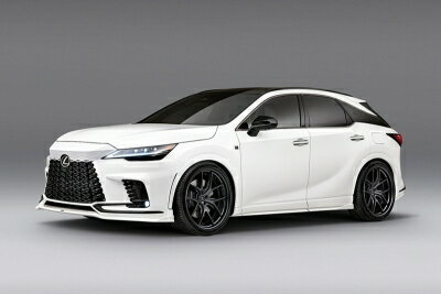 レクサス RX TALH17/TALA15 2022.11- RX500h/350 F-sport フロントアンダースポイラー FRP 塗装取付