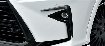 LEXUS RX 20系 前期 BLACK LABEL フォグガーニッシュ 2P FRP+カーボン製 塗装済み